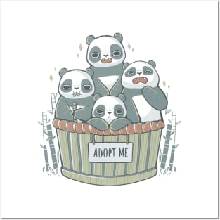 Adopt a Panda Posters and Art